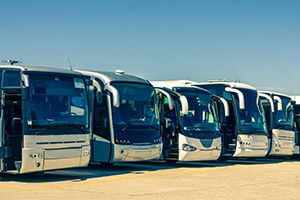 Holland Minibus Hire Rentals